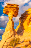 Boulder Hoodoo
