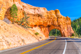 Près de Red Canyon