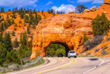 Près de Red Canyon