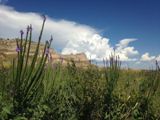 Saddle Rock Trail