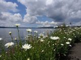 Photos/Images de Seattle