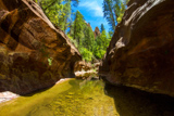 West Fork of Oak Creek