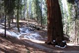 Congress Trail