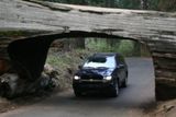 Photos/Images de Sequoia &amp; Kings Canyon NPs