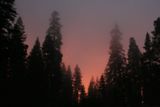Coucher de Soleil sur Sequoia NP