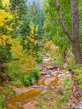 South Cheyenne Creek