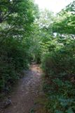 Marys Rock Summit Trail