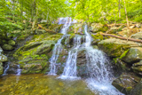 Photos/Images de Shenandoah National Park