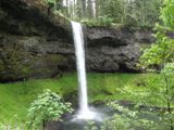 Photos/Images de Silver Falls State Park