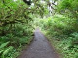 Canyon Trail