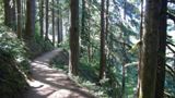 Rim Trail