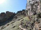 Misery Ridge Trail