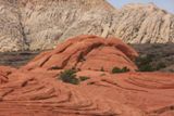 Petrified Dunes Trail