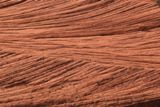 Petrified Dunes Trail
