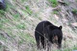 Photos/Images de La vie animale