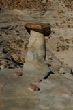Stud Horse Point