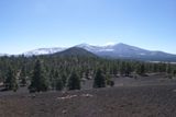 Lenox Crater Trail