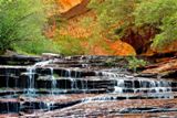 Left Fork of North Creek