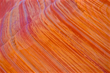 The Wave