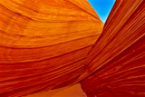 The Wave