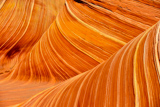 The Wave