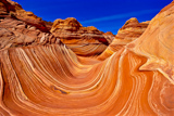 The Wave