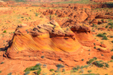 Ginger Rock