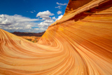 The Wave