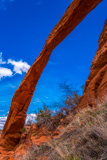 Dicks Arch