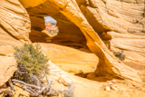 The Grotto & Melody Arch