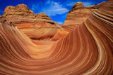 The Wave
