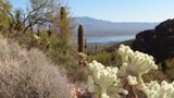 Photos/Images de Tonto National Monument