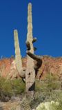 Tonto National Monument