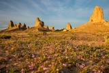 Photos/Images de Trona Pinnacles