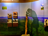 Tumacácori Museum