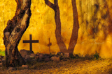 Cimetière