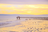 Tybee Island Pier