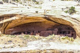 Butler Wash Ruins