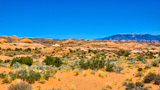 Petrified Dunes Viewpoint