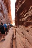 Fiery Furnace