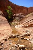 Broken Bow Arch Trail