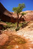 Broken Bow Arch Trail