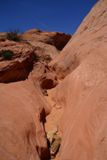 Broken Bow Arch Trail
