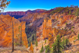 Black Birch Canyon