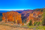 Black Birch Canyon