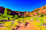 Lower Calf Creek Falls Trail