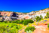Lower Calf Creek Falls Trail