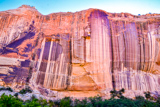 Lower Calf Creek Falls Trail