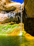 Upper Calf Creek Falls