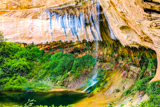 Upper Calf Creek Falls